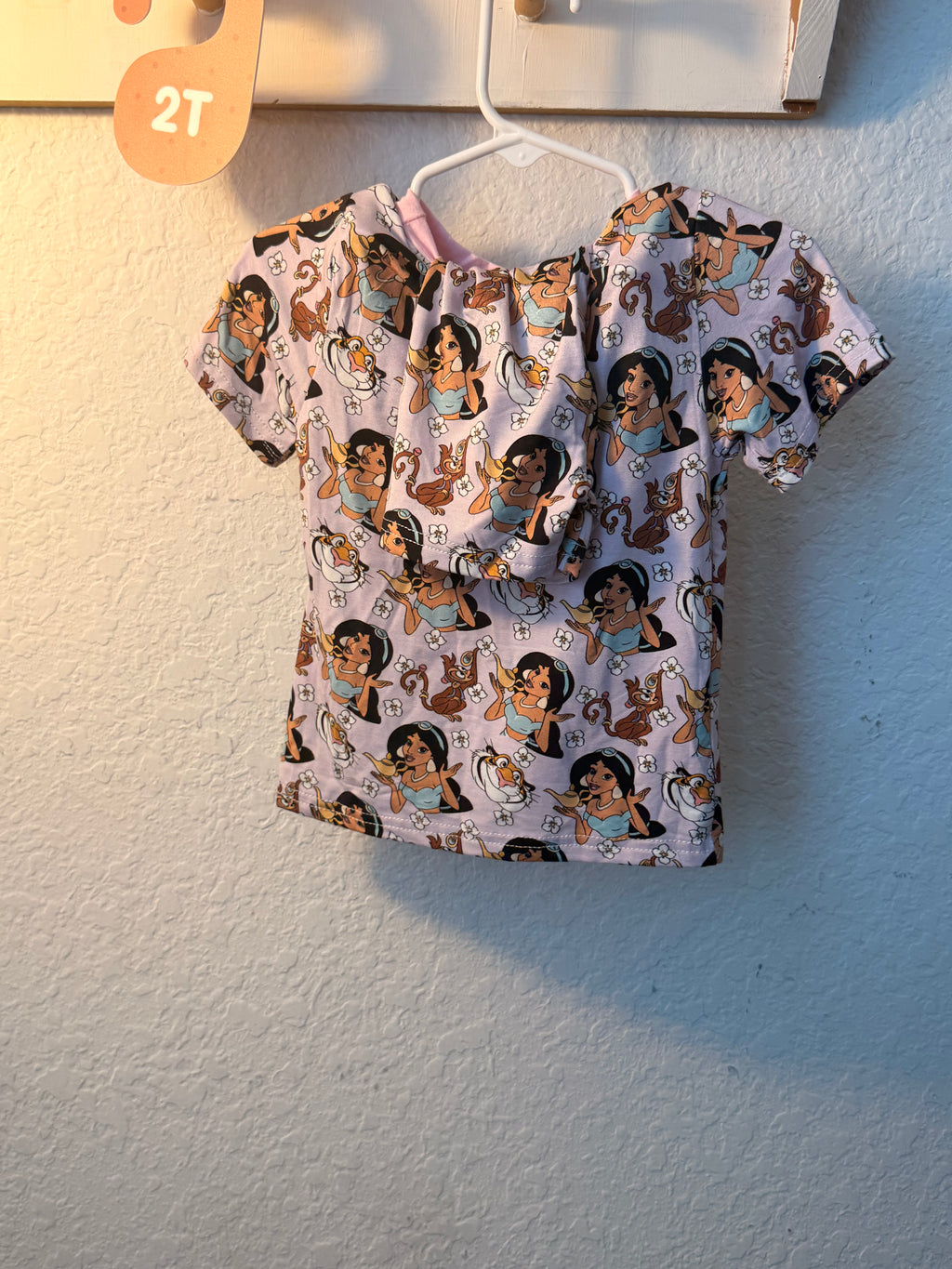 Princess Jasmine Bamboo Shirt & Short Set – 2T 💜✨